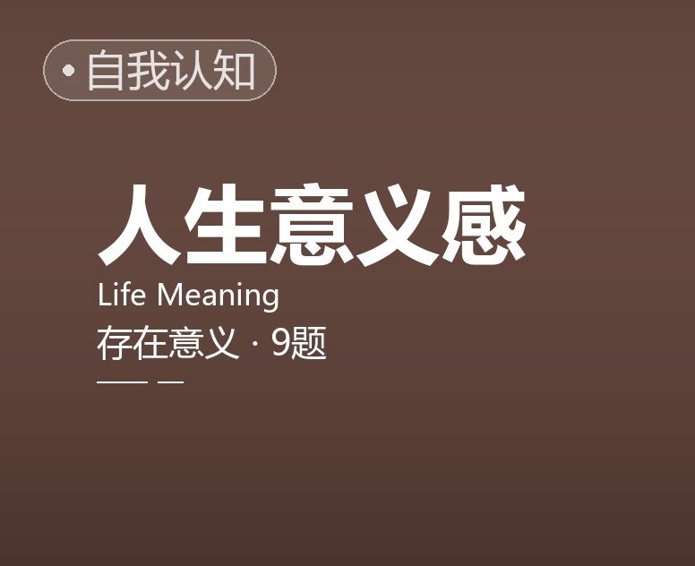 人生意义感 / 存在意义简表